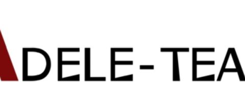 ADELE-TEAM